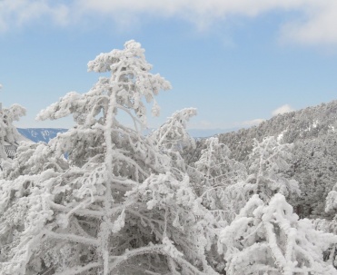 Piękno natury w Szczyrku &ndash; g&oacute;rskie widoki i świeże powietrze